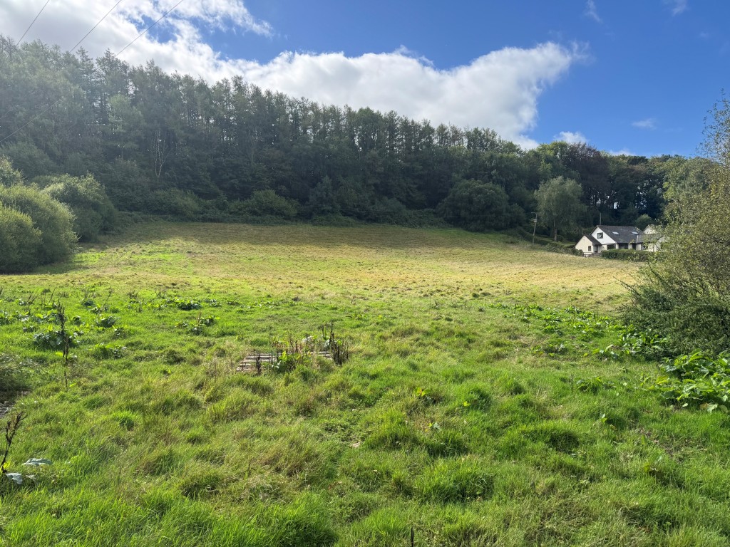 Lot: 41 - TWO AND A HALF ACRES WITH STABLES AND OUTBUILDING - General view of the paddock 2